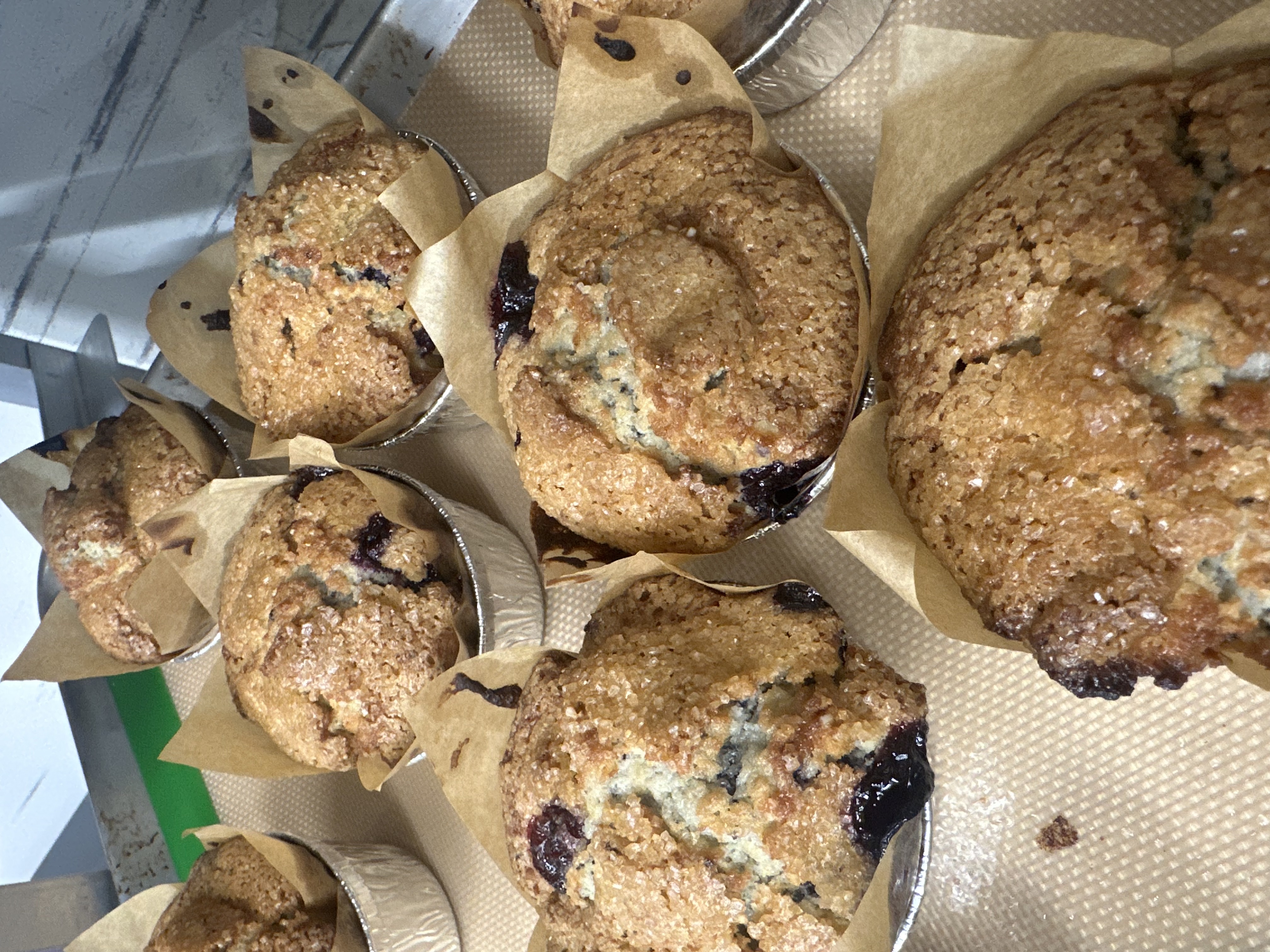 Blooberry Muffins